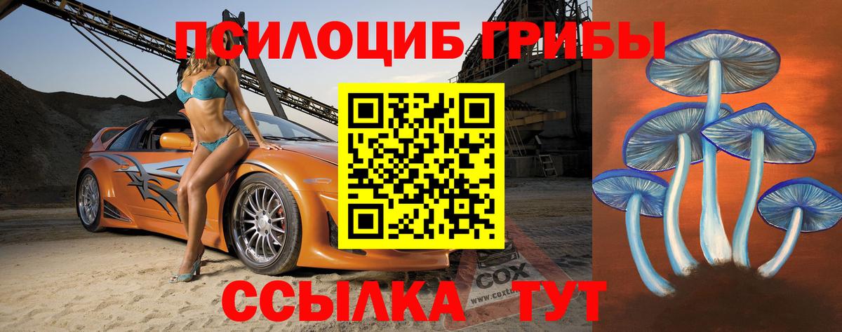 Галлюциногенные грибы Psilocybe Нижний Новгород
